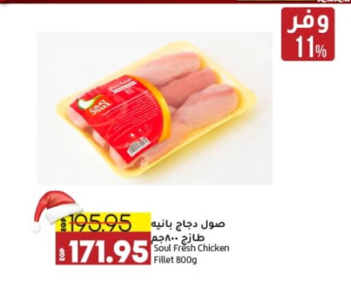 Chicken Pane available at Lulu Hypermarket  in Egypt - Cairo