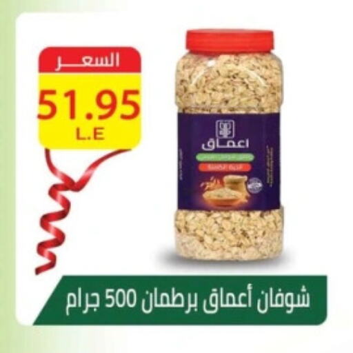 الشوفان available at Mekkawy market  in Egypt - القاهرة