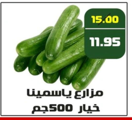 available at Mekkawy market  in Egypt - Cairo