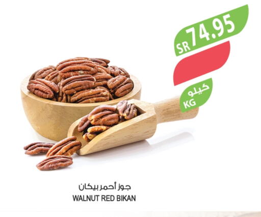 available at المزرعة in مملكة العربية السعودية, السعودية, سعودية - القطيف‎