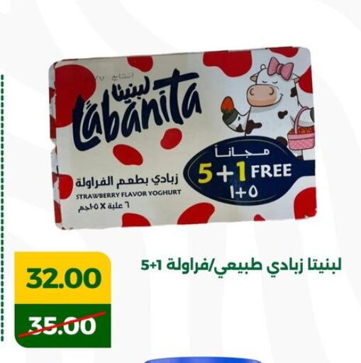 Yoghurt available at Green Tree Hypermarket - Sohag in Egypt - Cairo