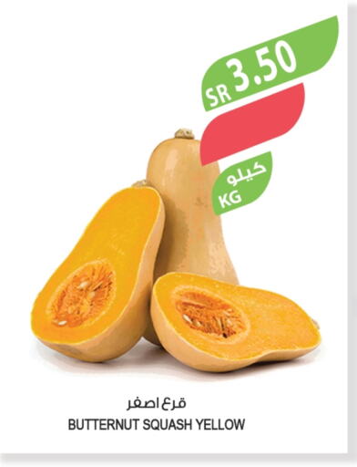 Squash available at المزرعة in مملكة العربية السعودية, السعودية, سعودية - القطيف‎