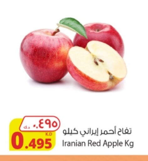 تفاح from Iran available at شركة المنتجات الزراعية الغذائية in الكويت - محافظة الجهراء