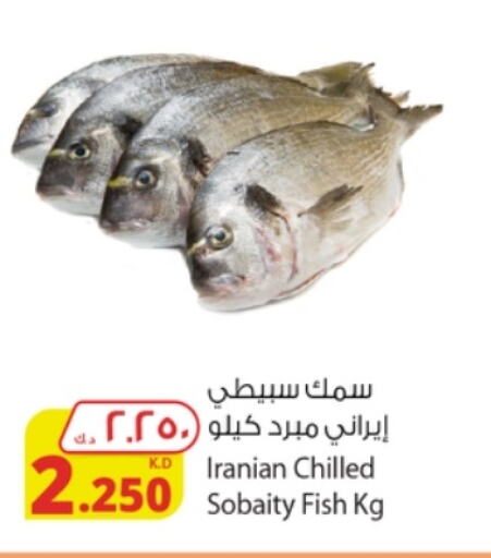 available at Agricultural Food Products Co. in Kuwait - Ahmadi Governorate