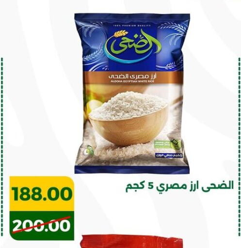 Calrose Rice available at Green Tree Hypermarket - Sohag in Egypt - Cairo