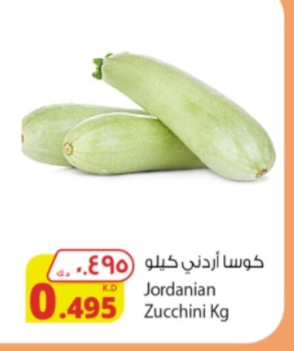 Zucchini from Jordan available at Agricultural Food Products Co. in Kuwait - Kuwait City