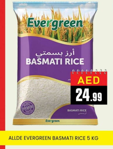 Basmati / Biryani Rice available at AL MADINA (Dubai) in UAE - Dubai