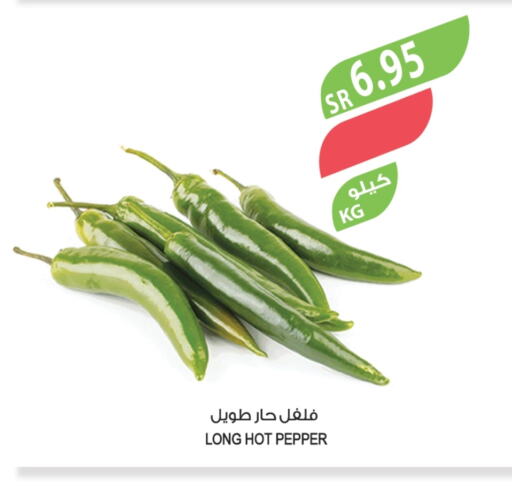 Chilli / Capsicum available at Farm  in KSA, Saudi Arabia, Saudi - Yanbu