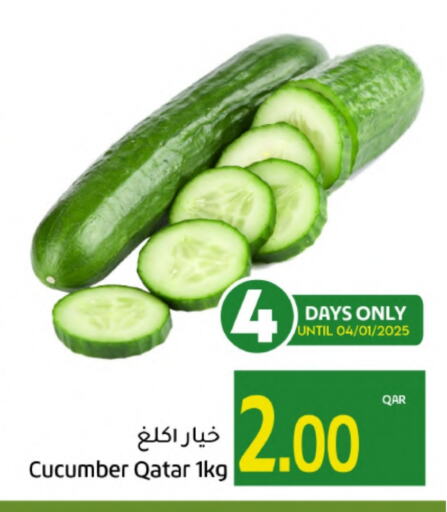 Cucumber from Qatar available at Gulf Food Center in Qatar - Doha