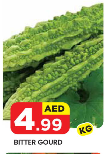 Gourd available at Baniyas Spike  in UAE - Al Ain