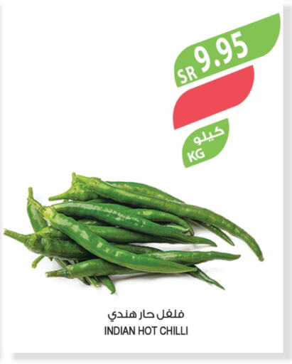 Chilli / Capsicum from India available at Farm  in KSA, Saudi Arabia, Saudi - Sakaka