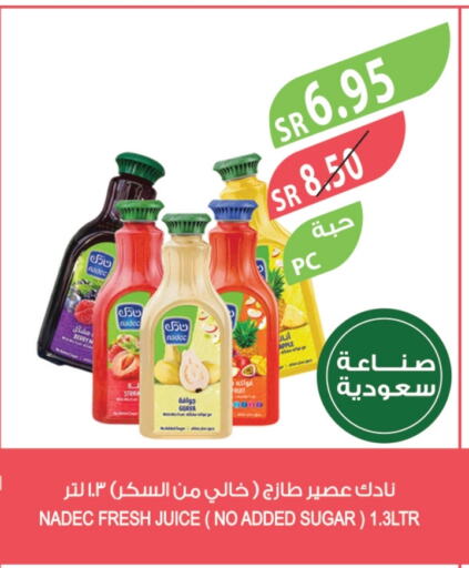 NADEC available at Farm  in KSA, Saudi Arabia, Saudi - Dammam