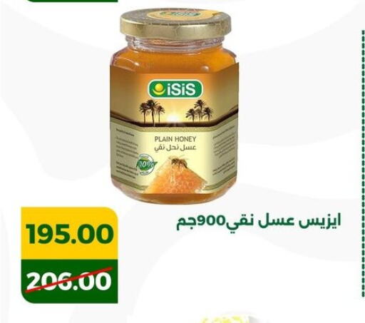 Honey available at Green Tree Hypermarket - Sohag in Egypt - Cairo