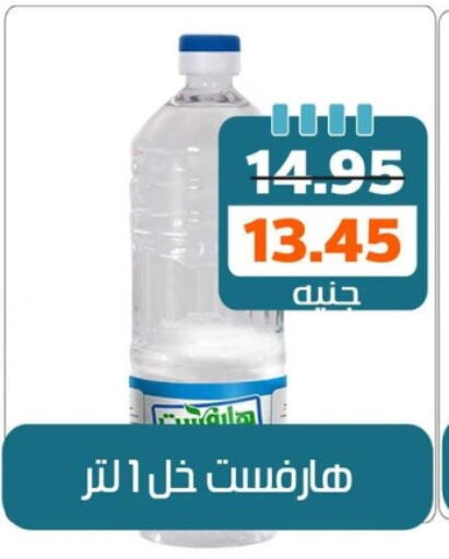 خل available at Mekkawy market  in Egypt - القاهرة