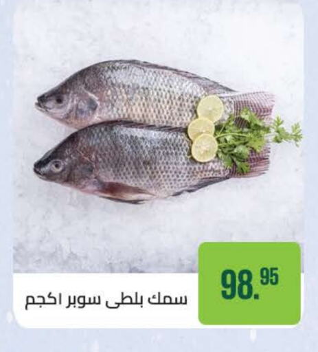 available at Seoudi Supermarket in Egypt - Cairo