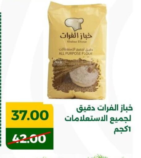 All Purpose Flour available at Green Tree Hypermarket - Sohag in Egypt - Cairo