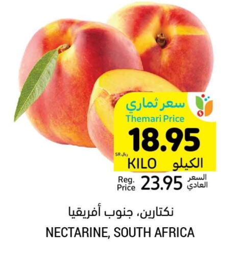 Nectarine from South Africa available at أسواق التميمي in مملكة العربية السعودية, السعودية, سعودية - الجبيل‎