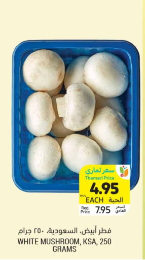 Mushroom available at Tamimi Market in KSA, Saudi Arabia, Saudi - Tabuk