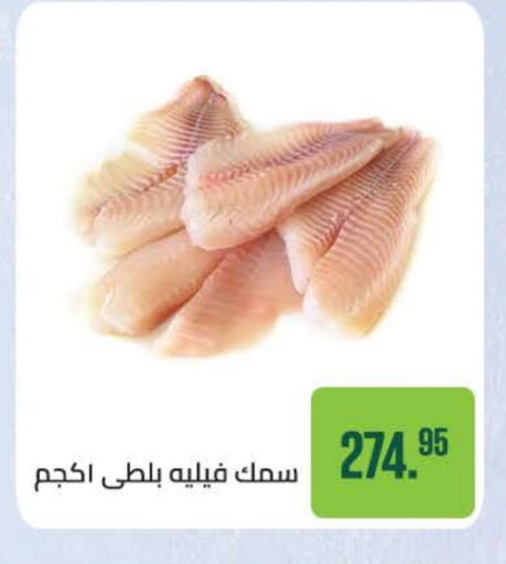 available at Seoudi Supermarket in Egypt - Cairo