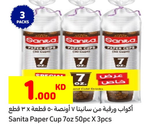 SANITA available at Carrefour in Kuwait - Ahmadi Governorate