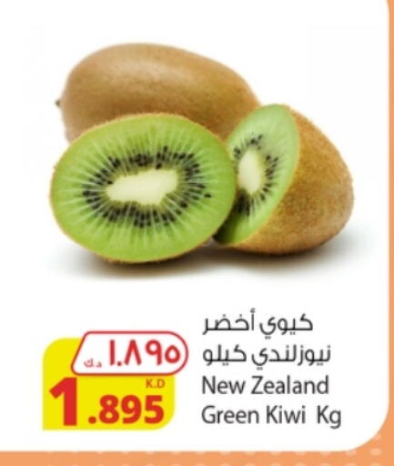 Kiwi from New Zealand available at Agricultural Food Products Co. in Kuwait - Kuwait City