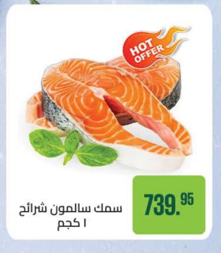 available at Seoudi Supermarket in Egypt - Cairo