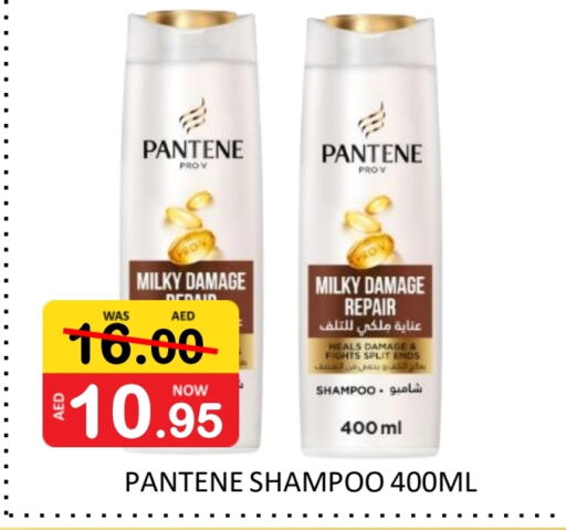 PANTENE Shampoo / Conditioner available at ROYAL GULF HYPERMARKET LLC in UAE - Abu Dhabi