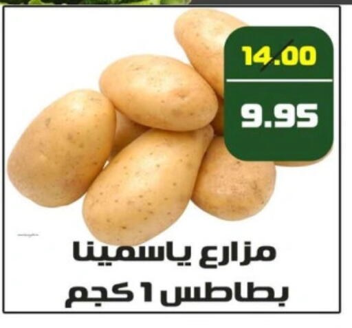 بطاطا available at Mekkawy market  in Egypt - القاهرة