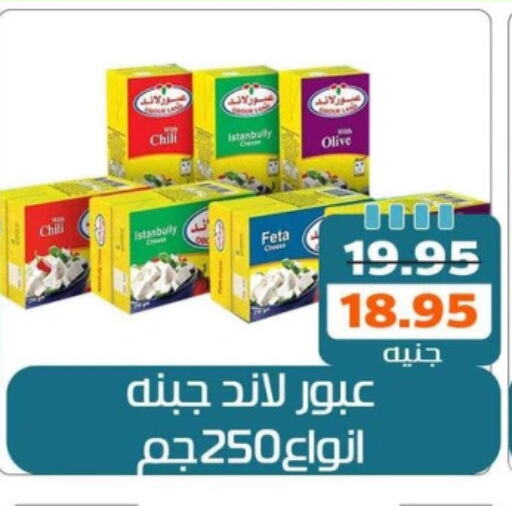 فيتا available at Mekkawy market  in Egypt - القاهرة