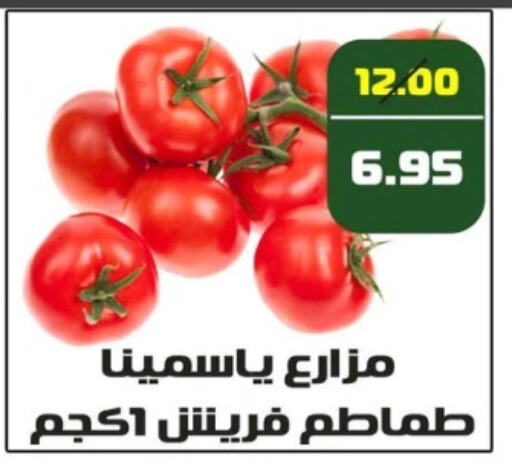 Tomato available at Mekkawy market  in Egypt - Cairo