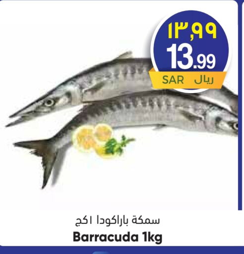 available at City Flower in KSA, Saudi Arabia, Saudi - Jubail