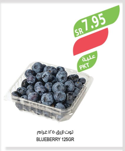 توت available at المزرعة in مملكة العربية السعودية, السعودية, سعودية - القطيف‎