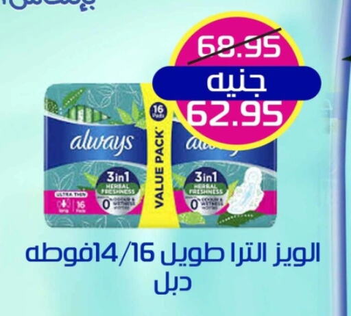 ألويز available at Mekkawy market  in Egypt - القاهرة