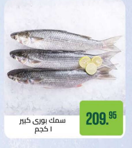 available at Seoudi Supermarket in Egypt - Cairo