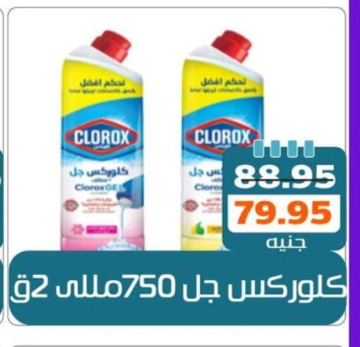 CLOROX General Cleaner available at Mekkawy market  in Egypt - Cairo