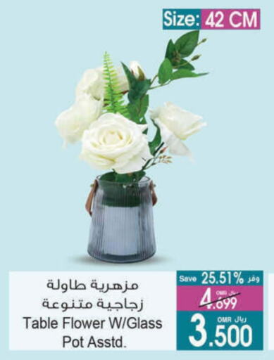 available at A & H in Oman - Salalah