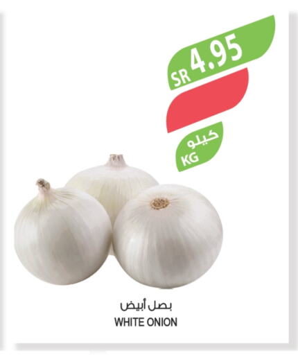 Onion available at المزرعة in مملكة العربية السعودية, السعودية, سعودية - أبها