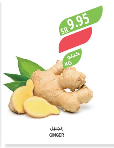 زنجبيل available at المزرعة in مملكة العربية السعودية, السعودية, سعودية - القطيف‎