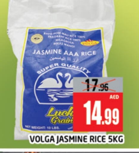 VOLGA Jasmine Rice available at AL MADINA (Dubai) in UAE - Dubai