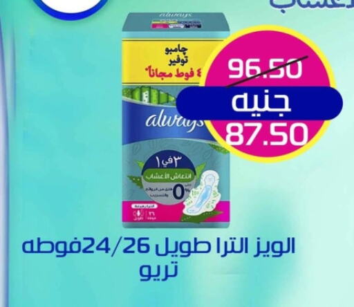 ألويز available at Mekkawy market  in Egypt - القاهرة