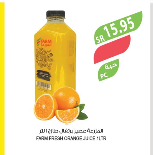 Orange available at Farm  in KSA, Saudi Arabia, Saudi - Yanbu