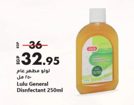 Disinfectant available at Lulu Hypermarket  in Egypt - Cairo