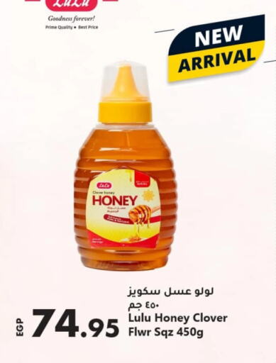 LULU Honey available at Lulu Hypermarket  in Egypt - Cairo