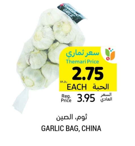 Garlic from China available at Tamimi Market in KSA, Saudi Arabia, Saudi - Medina