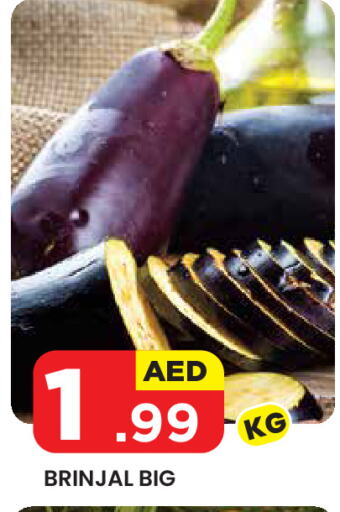 available at سنابل بني ياس in الإمارات العربية المتحدة , الامارات - ٱلْعَيْن‎