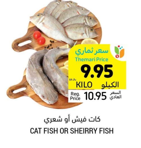 available at Tamimi Market in KSA, Saudi Arabia, Saudi - Buraidah