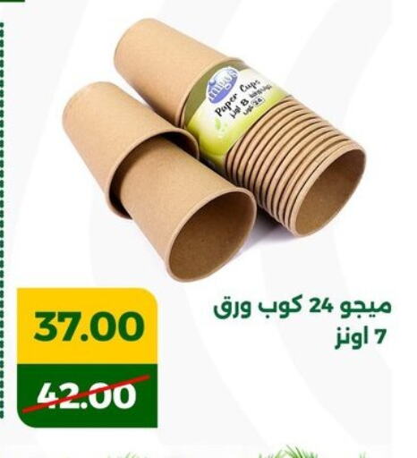 available at Green Tree Hypermarket - Sohag in Egypt - Cairo