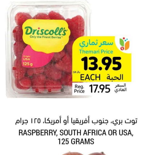 توت from South Africa available at أسواق التميمي in مملكة العربية السعودية, السعودية, سعودية - الجبيل‎