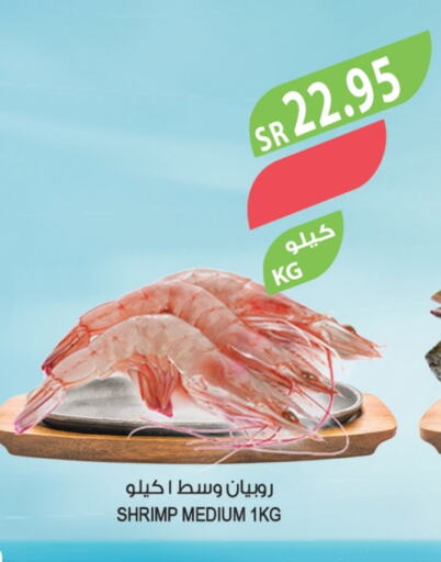 available at Farm  in KSA, Saudi Arabia, Saudi - Tabuk