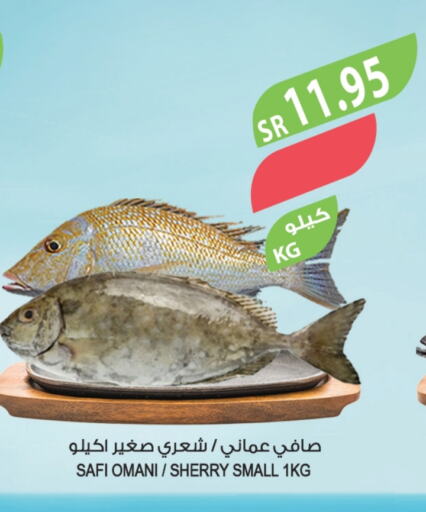 available at Farm  in KSA, Saudi Arabia, Saudi - Al-Kharj